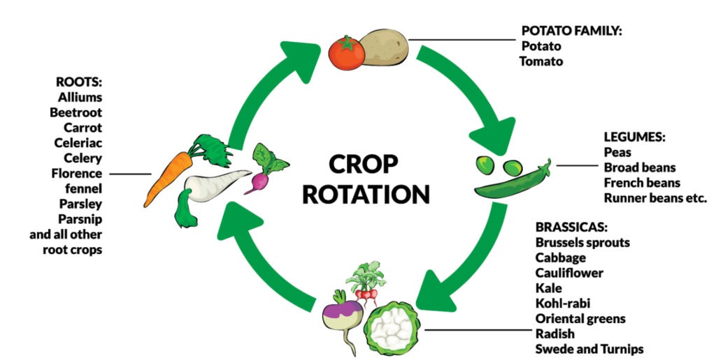 crop rotation - what is desertification