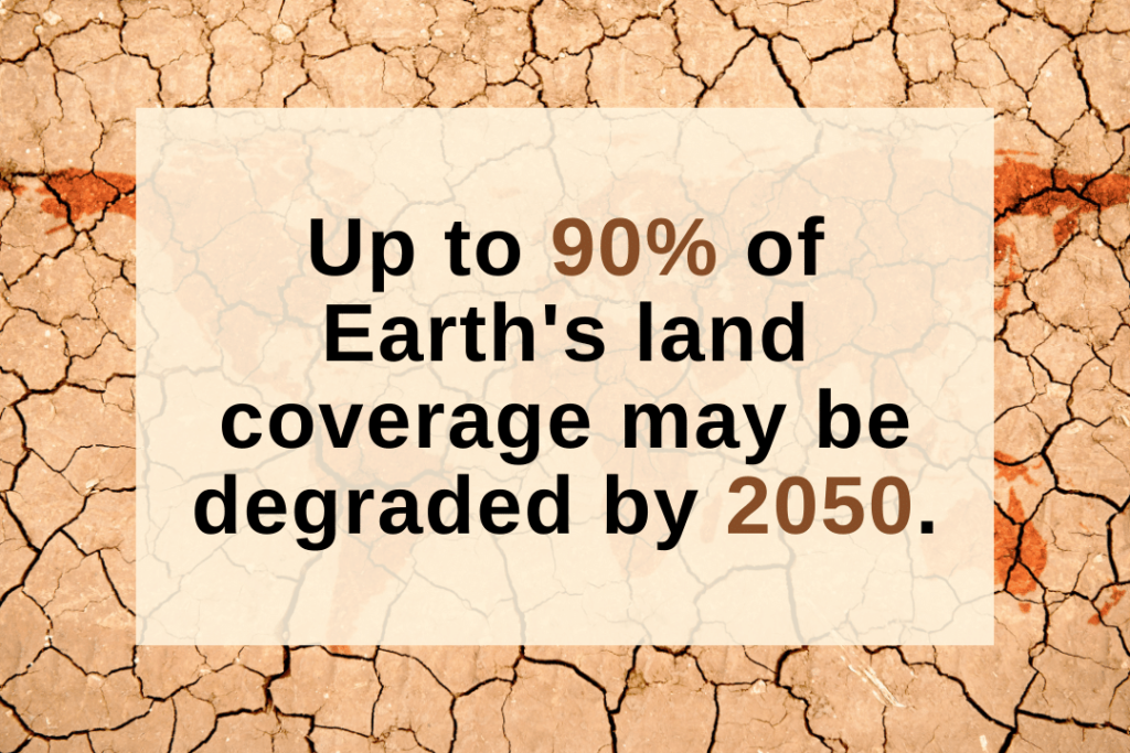 land degradation fact - desertification fact