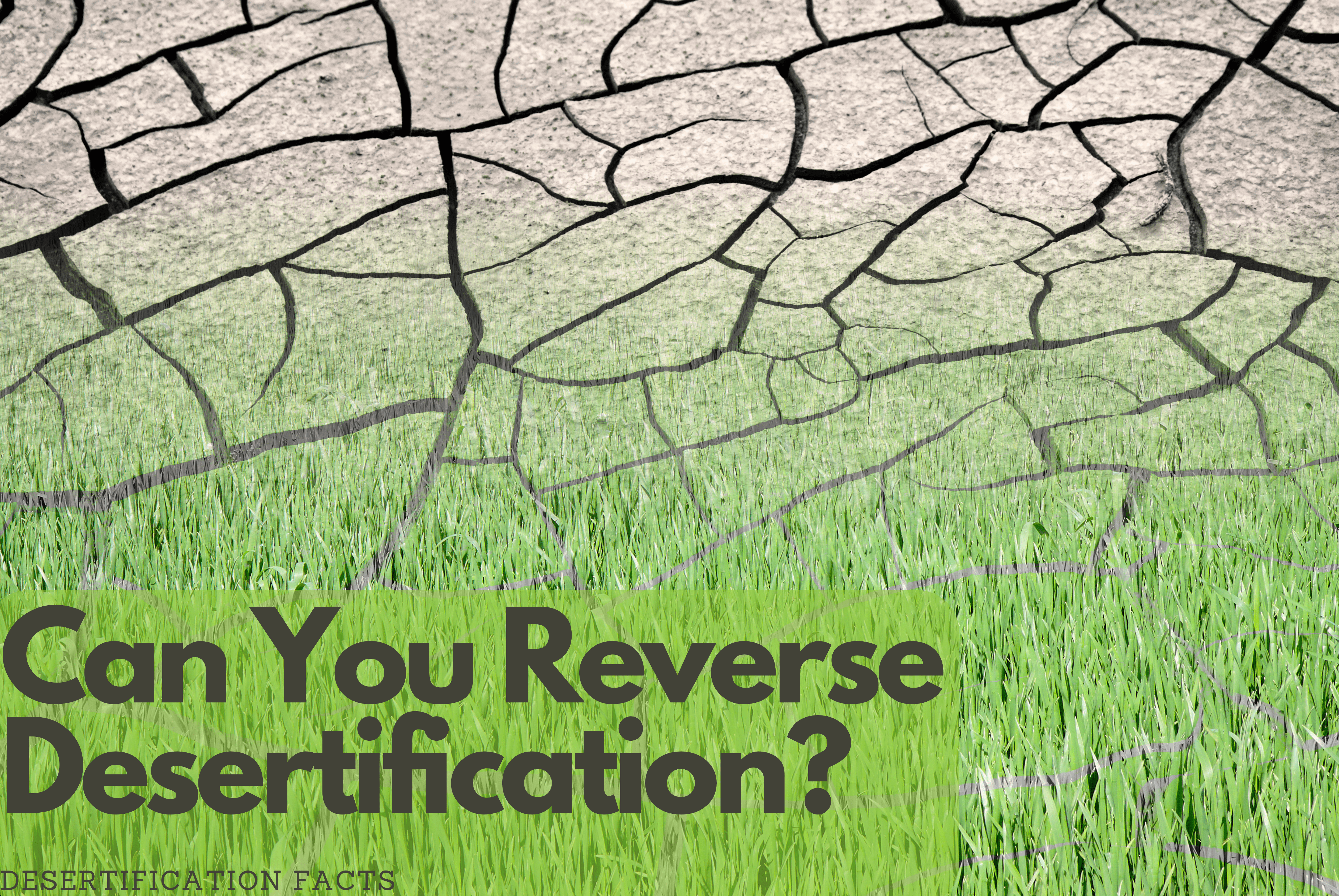 Can you reverse desertification?