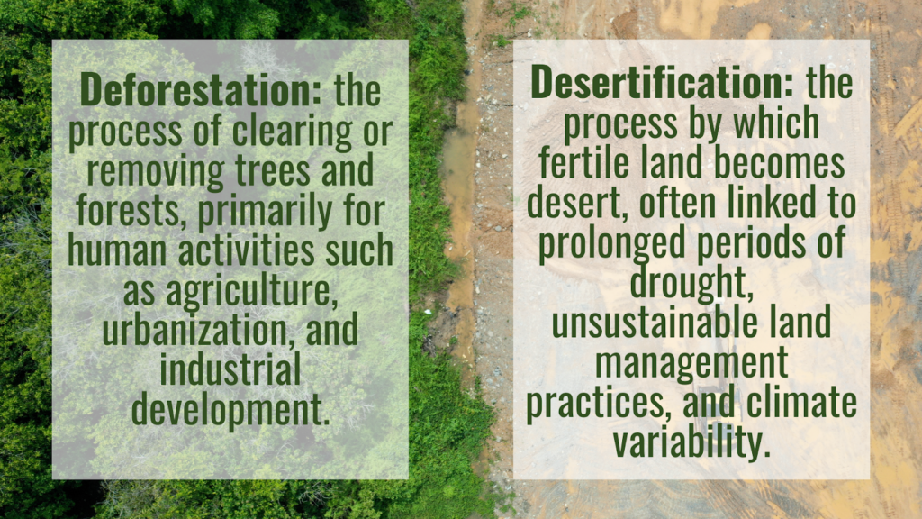 differentiate between deforestation and desertification